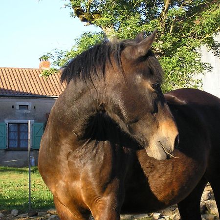 La Ferme Jarlan Bed & Breakfast Berganty Luaran gambar